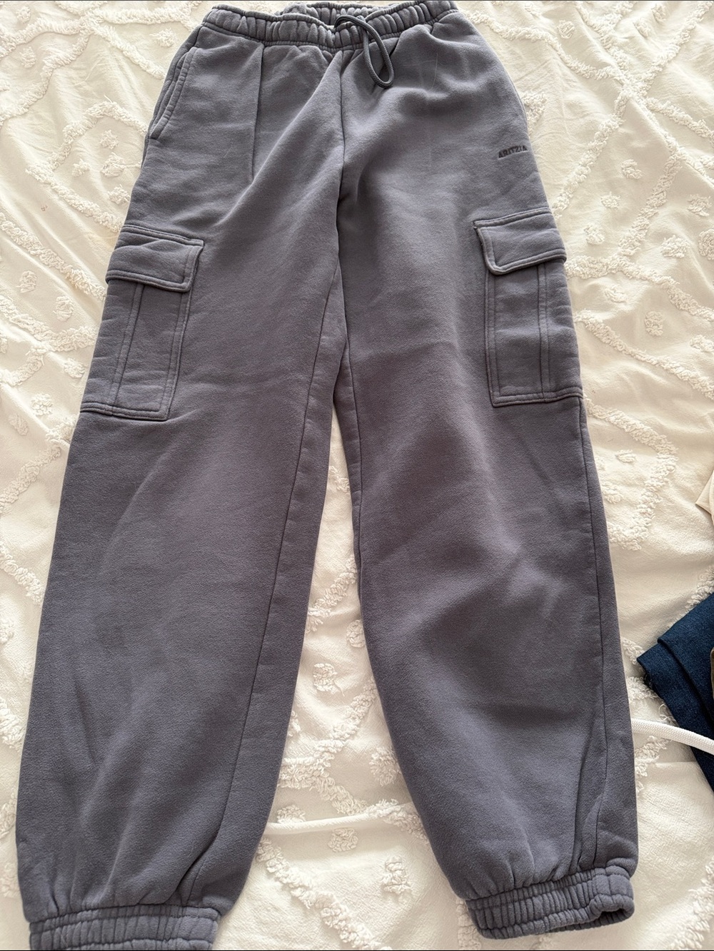 Aritzia Sweatfleece Cozy Fleece Sweatpants in Charcoal Gray